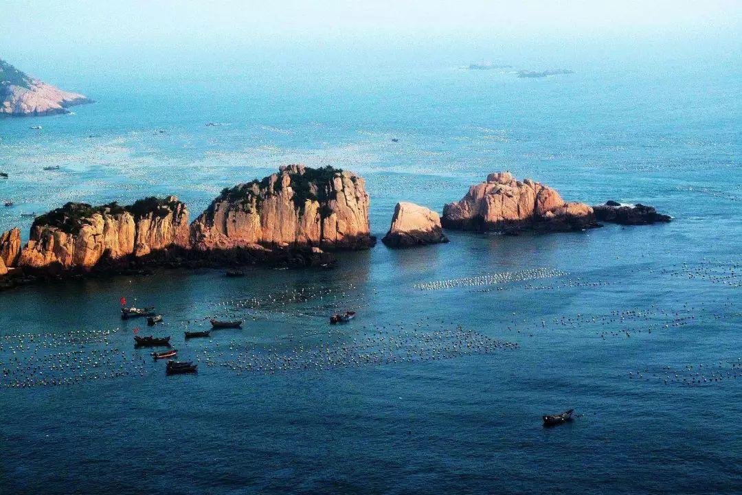 国际人士积极评价中国经济回升向好