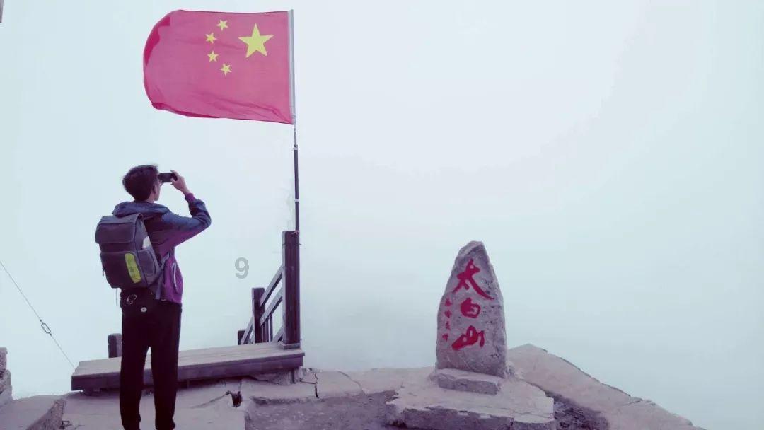 宠物世界聚会