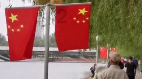 危险森林大逃脱